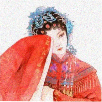 观众阿禾头像